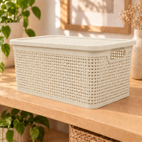 Caja simil ratán 15 lts BEIGE