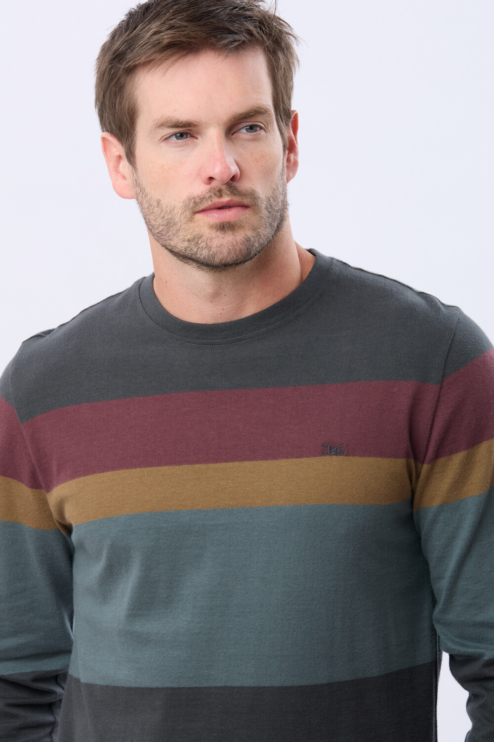 REMERA RAYADA DE ALGODÓN GRIS