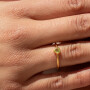 Anillo Karvik de plata 925 bañada en oro 18 K 0