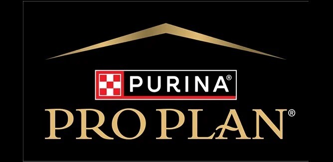 Pro Plan