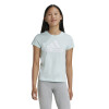 Remera Adidas Essentials Logo de Niños - IZ3468 Menta-blanco