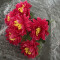 Ramo de Flores Rojo