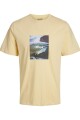 Camiseta Dalston Reed Yellow