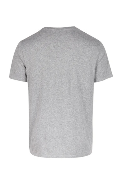 Remera O'Neill Logo Men Gris