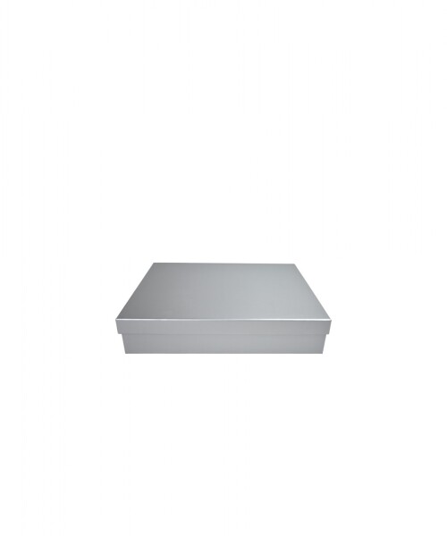 Caja Rigida 17,5 x 27,5 x 4,5 PLATA