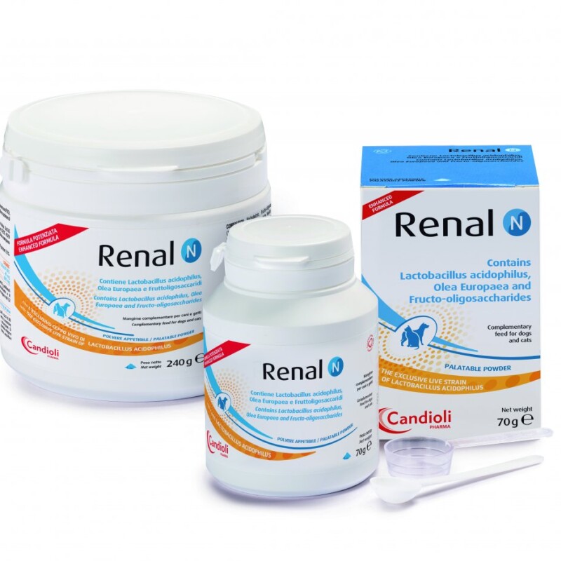 Renal N 240 grs