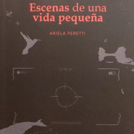 ESCENAS DE UNA VIDA PEQUEÑA ESCENAS DE UNA VIDA PEQUEÑA