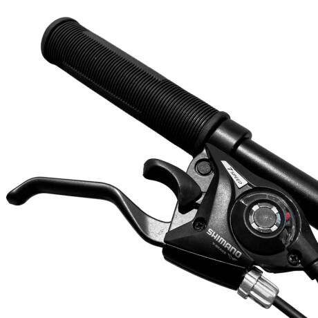 Bicicleta Montaña Expert Patriot Rodado 29 Shimano con Frenos de Disco y 21 Cambios Negro