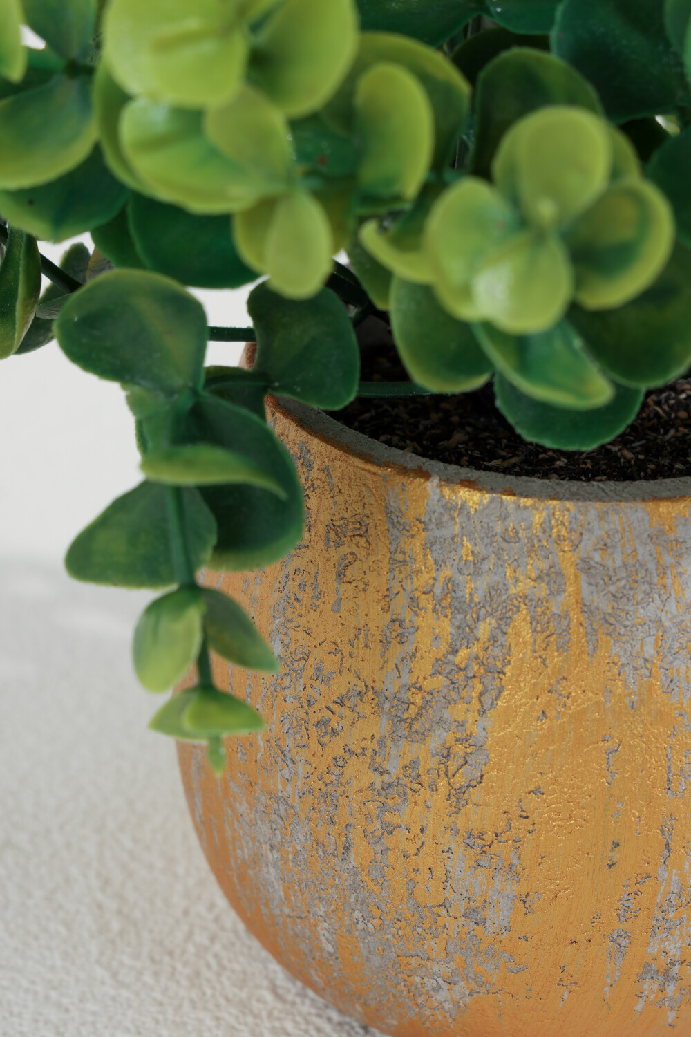 Planta Eucalipto 25cm Color Unico