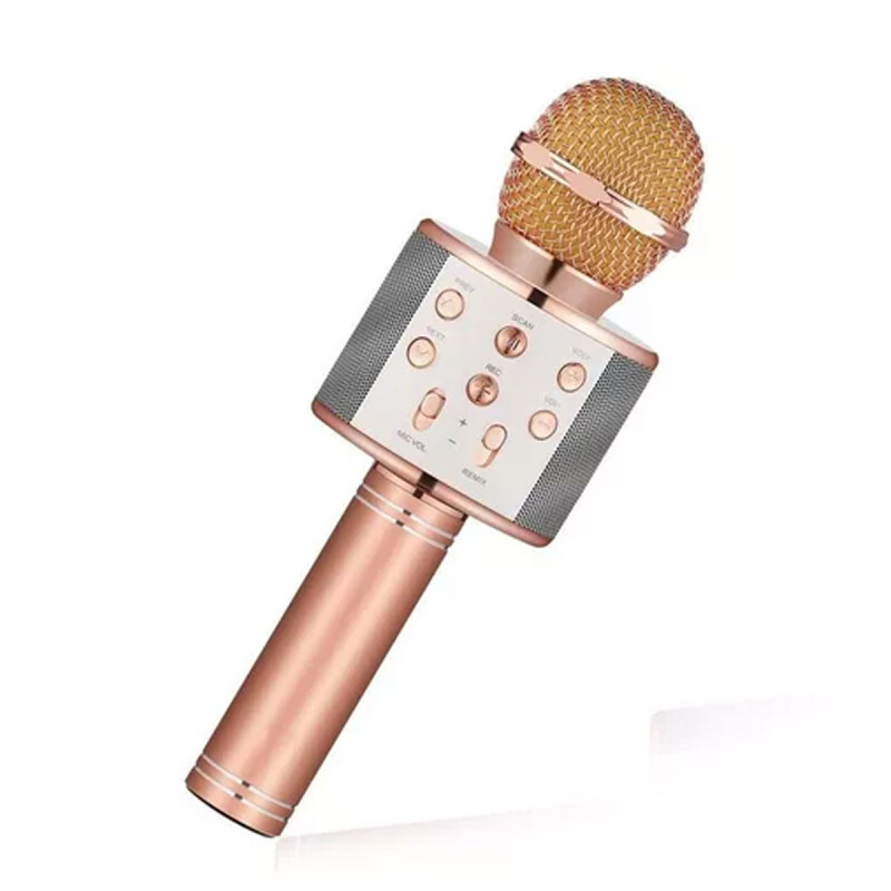 Micrófono WS-858 económico con parlante y luces infantil ROSA Micrófono WS-858 económico con parlante y luces infantil ROSA