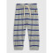 BF STRIPE PANT BLUE STRIPE