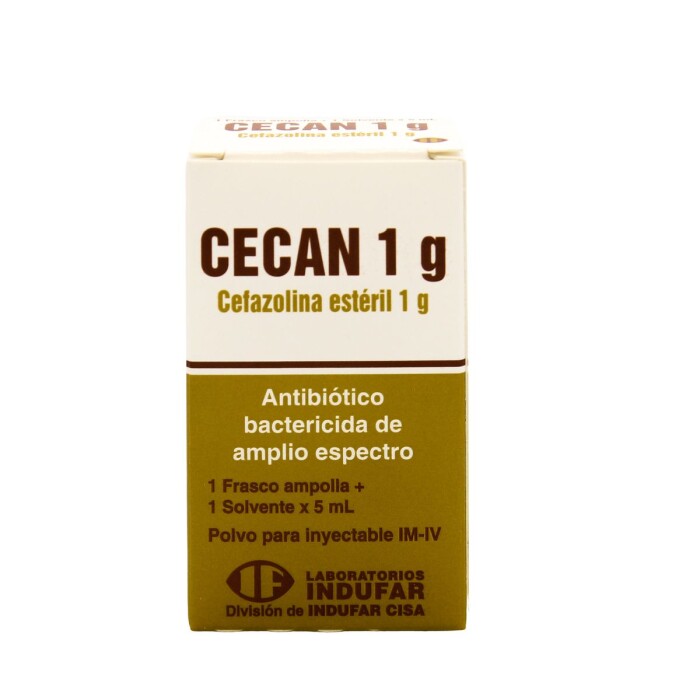 CECAN 1 GRAMO CJ X 1 AMPOLLA única