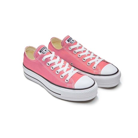 CONVERSE CHUCK TAYLOR ALL STAR SEASONAL Pink