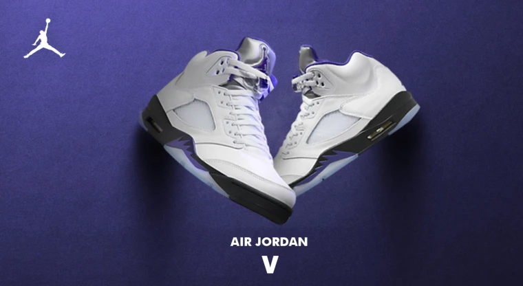 Jordan Retro V Dark Concord