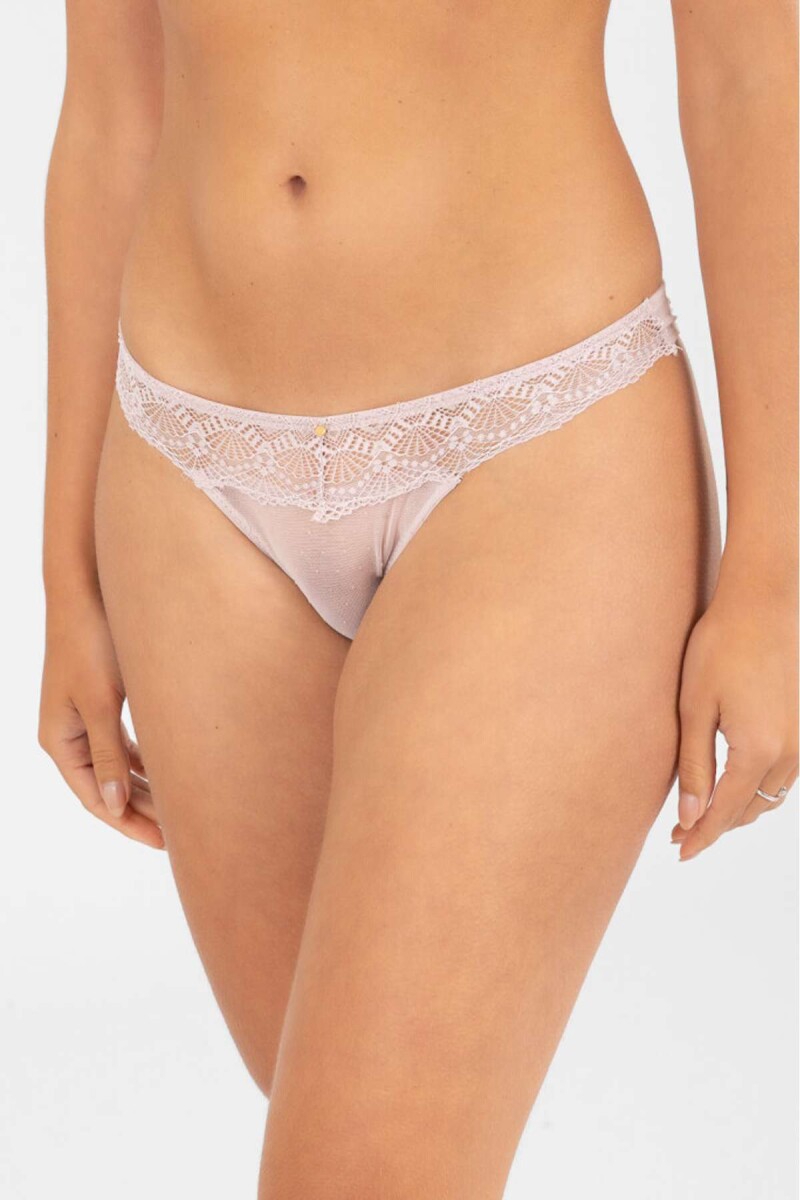 Colaless zinnia - Lilac 