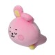 Peluche BT21 baby durmiendo Cooky