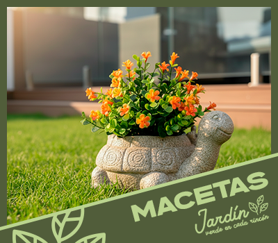 MACETAS