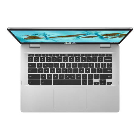 Asus - Notebook Chromebook 14 C424MA C424MA-DH48 - 14'' Led Anti-reflejo. Intel Celeron N4020. Intel 001