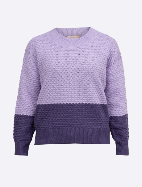 Buzo color block lila