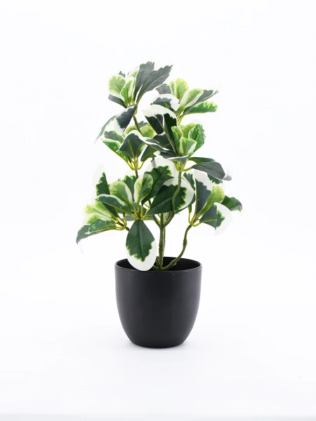 PLANTA CON MACETA 30 CM (9) VERDE