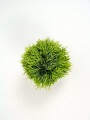 Planta Suculenta Artificial Color Unico