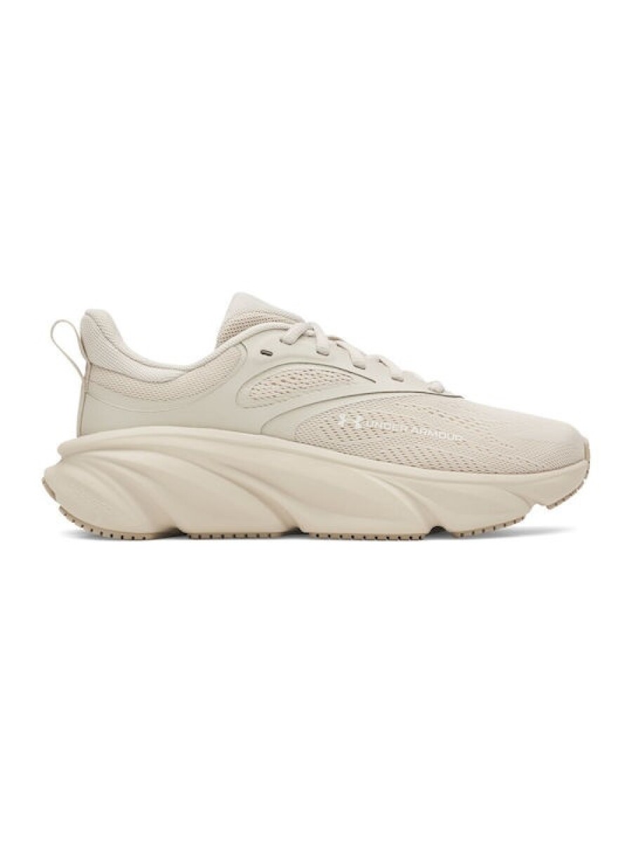 Calzado Under Armour 6006719-299 