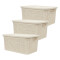 Set x3 Caja simil ratán 7,5lts BEIGE
