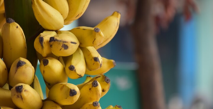 ¡RECETA! Barritas proteicas de banana