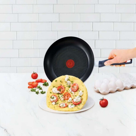 Sarten 24Cm Tefal Super-Cook Antiadherente Negro