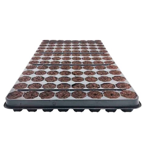 PLUGINPRO 104 BIOPEAT (70% COCO + 30% SUSTRATO PLUGINPRO 104 BIOPEAT (70% COCO + 30% SUSTRATO