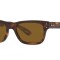 Ray-Ban 2283 Havana