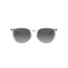 Ray Ban Rb4171 Erika 6516/11