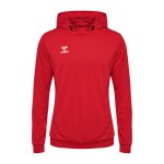 BUZO AUTHENTIC PL HOODIE UNISEX ROJO