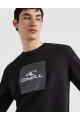 Buzo O'Neill Cube Crew Negro Black Out