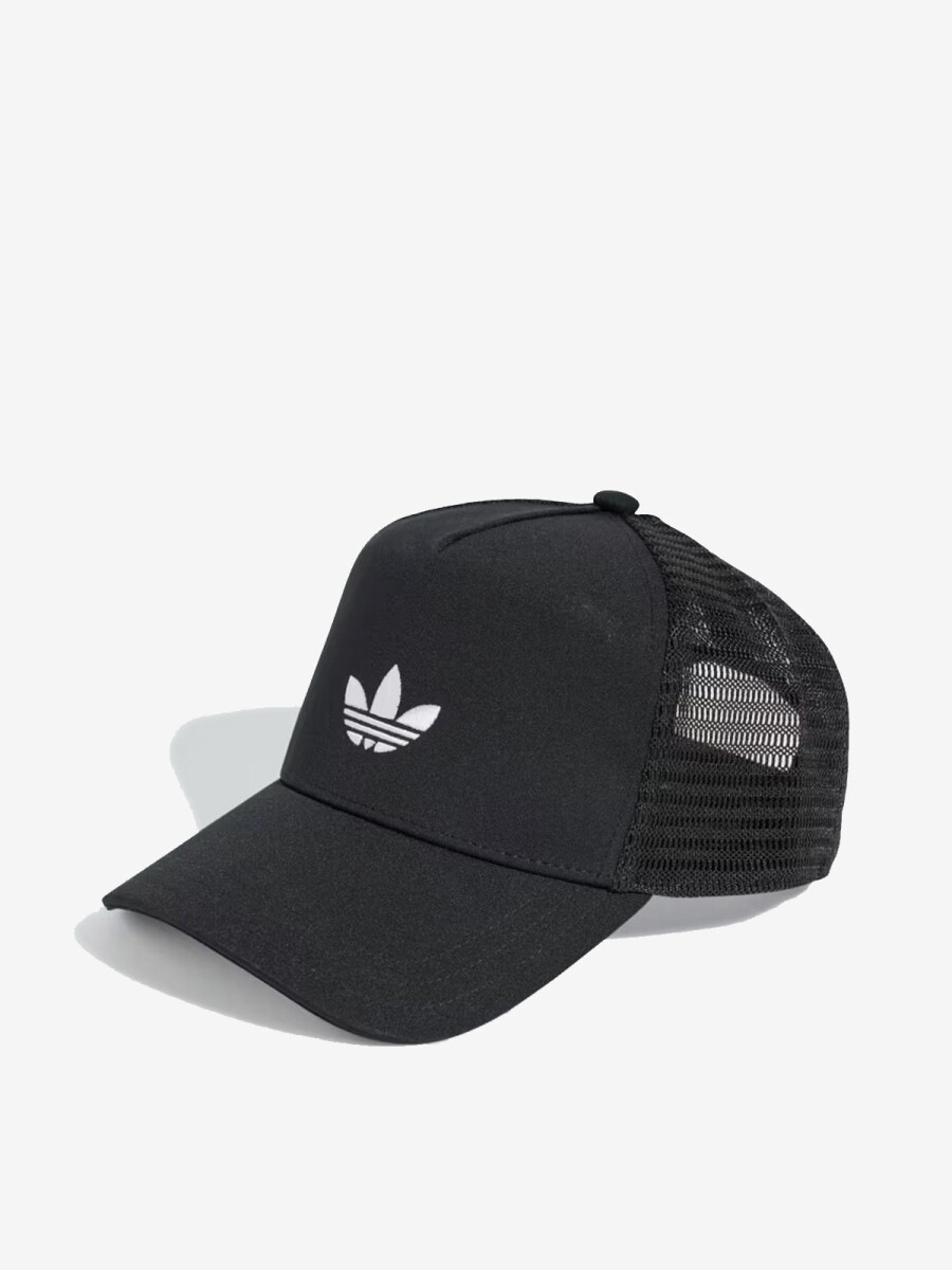 CURVED TRUCKER 