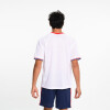 Remera Base Nacional Oficial Hombre 946