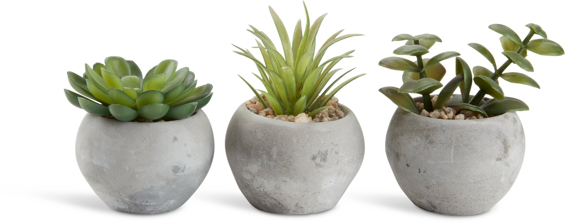 Planta artificial BROR Ø7xA9cm variado 