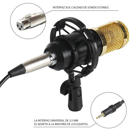 Set Micrófono Completo Estudio Grabación Podcast Pro Dorado