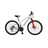Bicicleta ALPINA MAN - Rodado 29 - Baccio Blanco