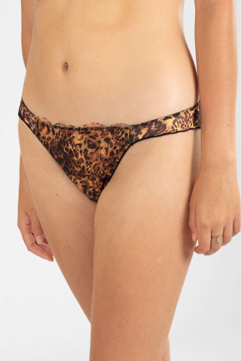 Colaless lova - Animal print 