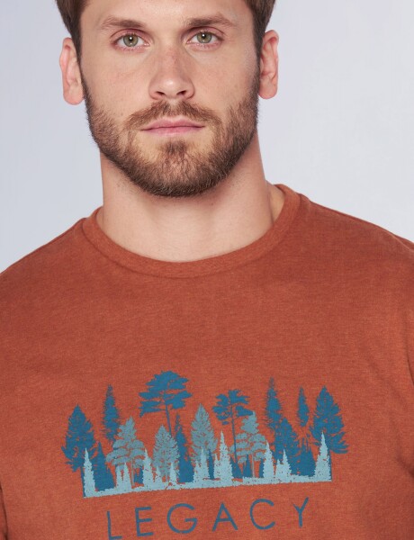 REMERA ESTAMPADA MANGA CORTA Terracota