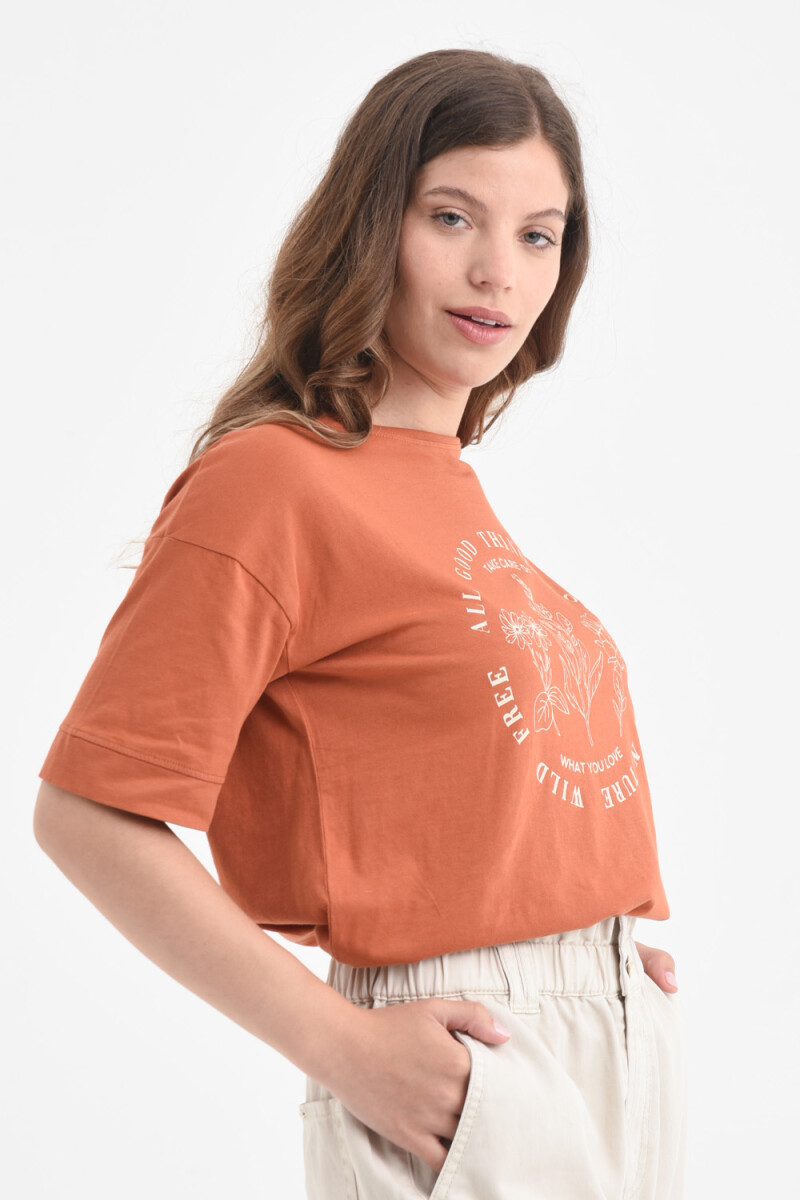 Camiseta manga corta estampada algodón orgánico - Marrón 