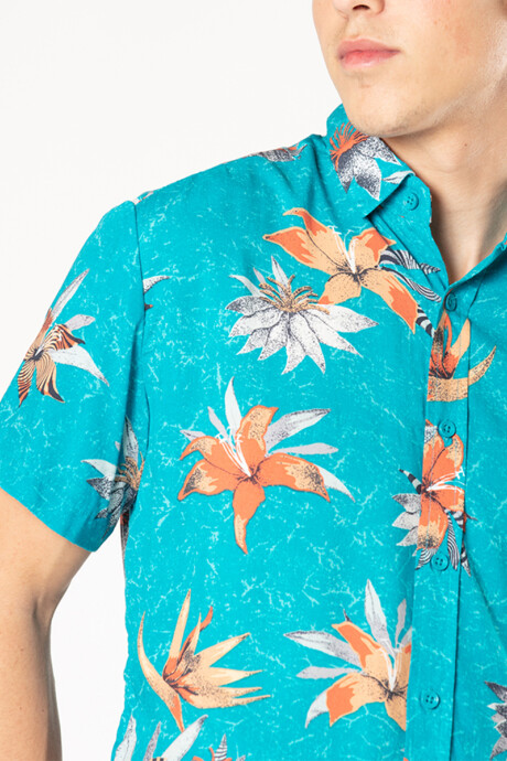 CAMISA GORIN Celeste