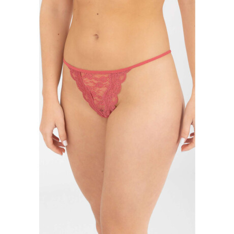 Pack x 2 colaless ravello Variante 1