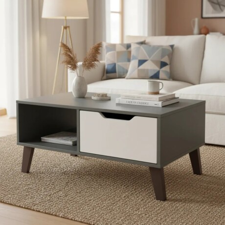 Mesa Ratona De Centro Living Grafito Blanco Con Cajón Y Estante Mesa Ratona De Centro Living Grafito Blanco Con Cajón Y Estante