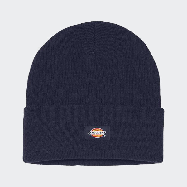 Gorro Dickies Classic Cuffed Knit Negro
