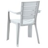 Silla de Jardín con Apoyabrazos Rimax Barú Gris Hielo Silla de Jardín con Apoyabrazos Rimax Barú Gris Hielo