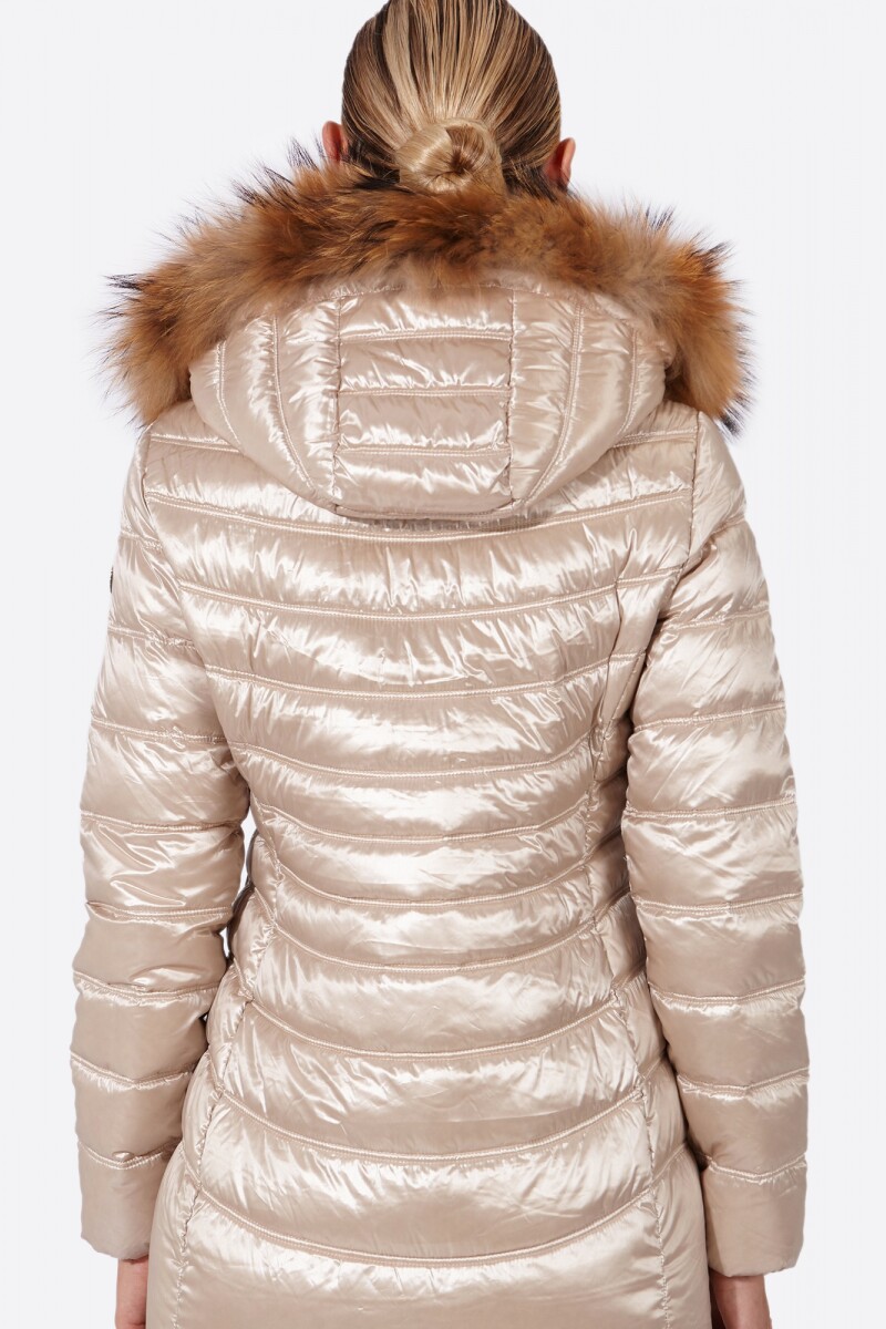 CAMPERA LION Champagne