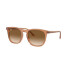 Rayban 2210 Marron Traslucido
