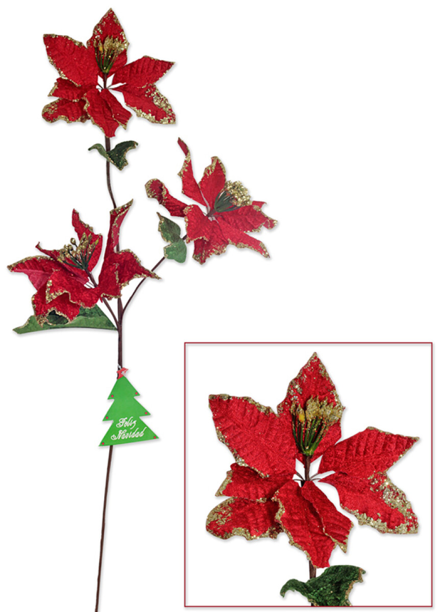 Ramo de tres flores, estrella federal 